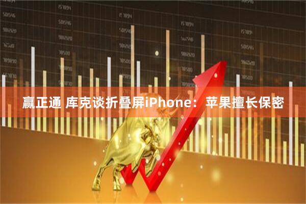 贏正通 庫克談折疊屏iPhone：蘋果擅長保密